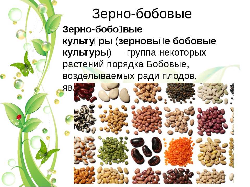 Информация о диетическом питании в санаториях европы и россии – виды диет, показания, номерные диеты и столы