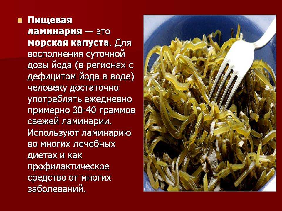 Морская капуста (ламинария) – описание, где растет водоросль