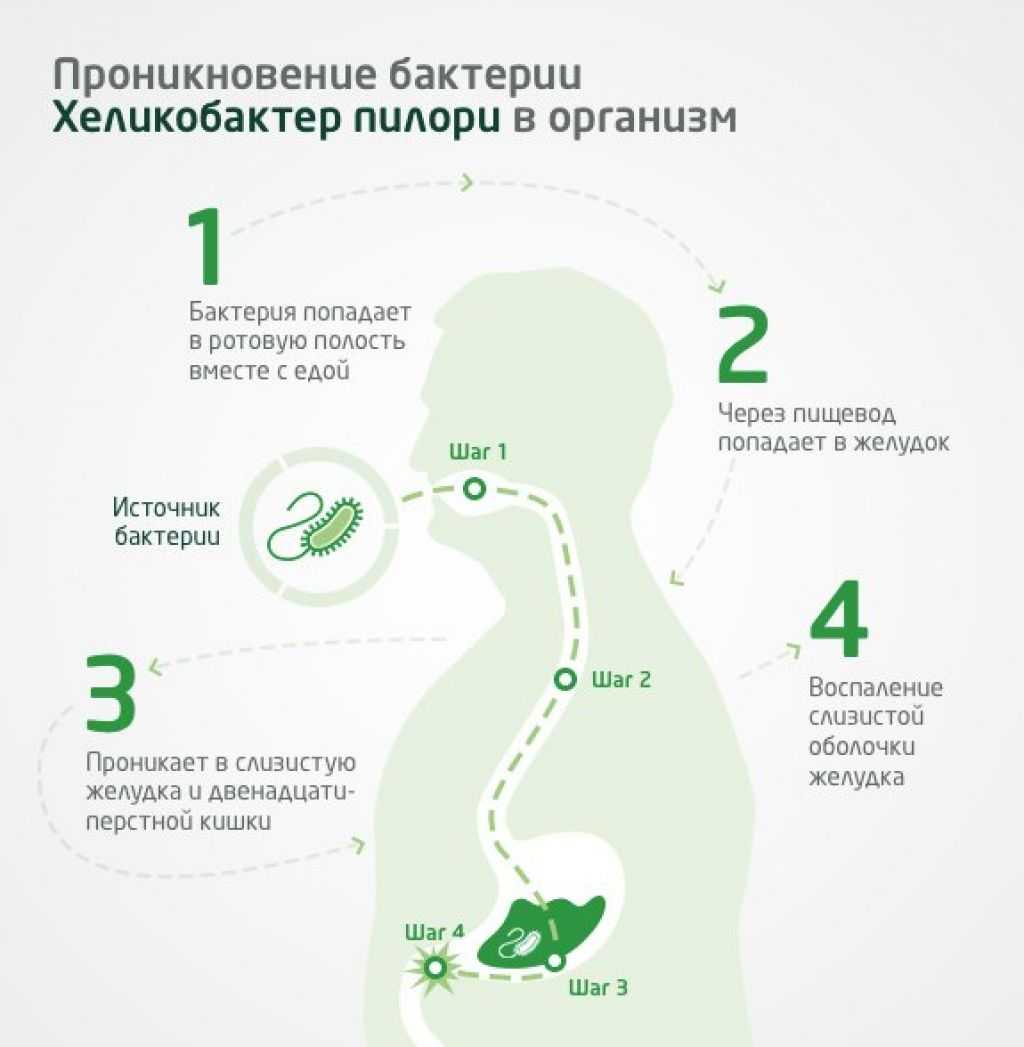 Лечение хеликобактерии в желудке схема лечения