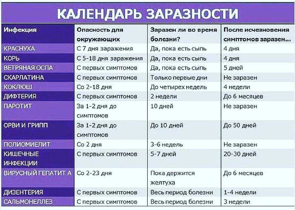 Чем отличается аллергия от пищевой непереносимости: главные отличия | food and health