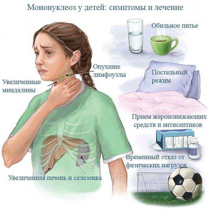 Анализ на вирус эпштейна-барр — герпес 4 типа