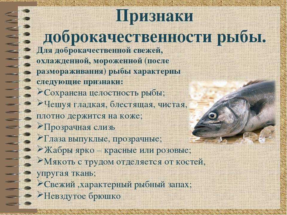 Салака: польза и вред свежемороженой, копченной рыбы для организма человека, противопоказания, секреты приготовления