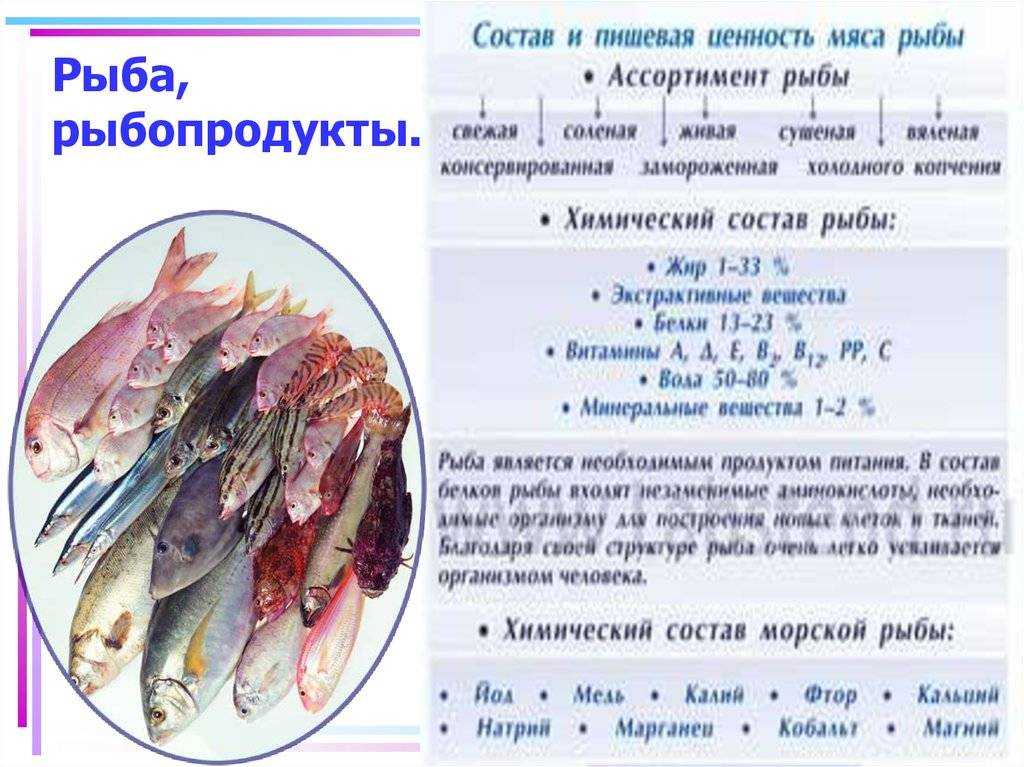 Рыба состав белки