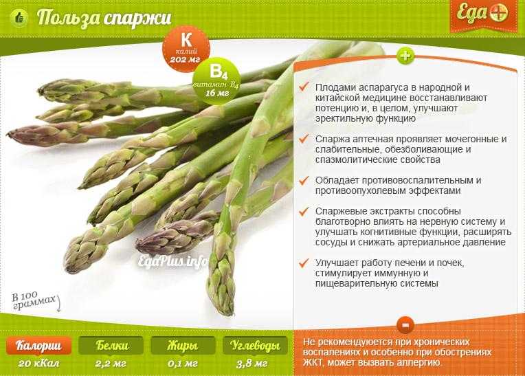 Калорийность спаржи: свежей, маринованной, соевой, блюд - похудейкина