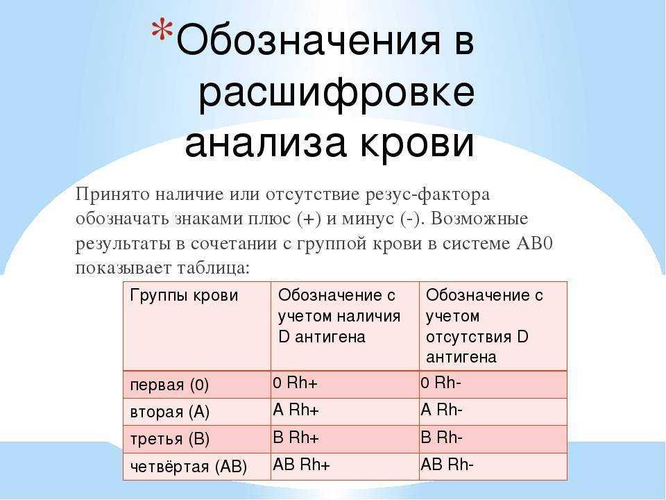 Интересные факты