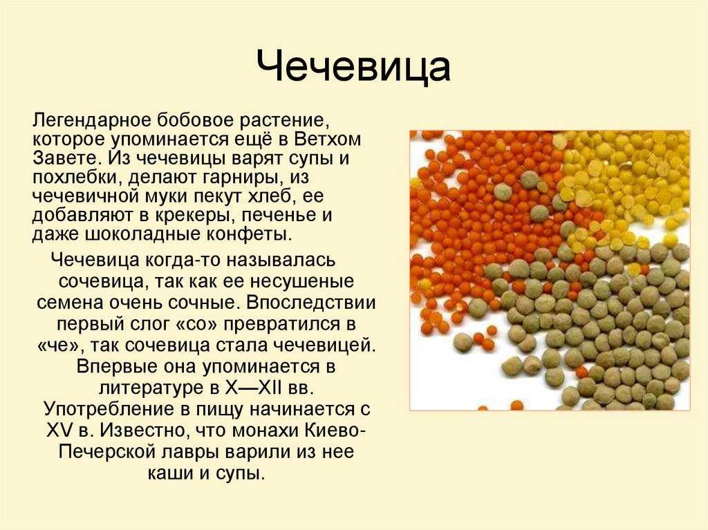 Чечевица - полезные свойства, состав и противопоказания (+ 17 фото)