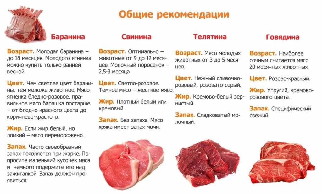 Баранина:калорийность на 100 грамм, жир баранины. бульон из баранины