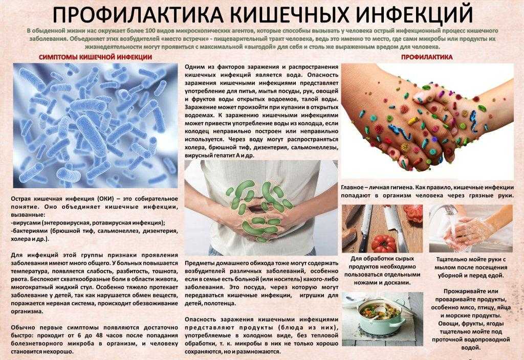 Профилактика сальмонеллеза: клиника, патогенез – эл клиника