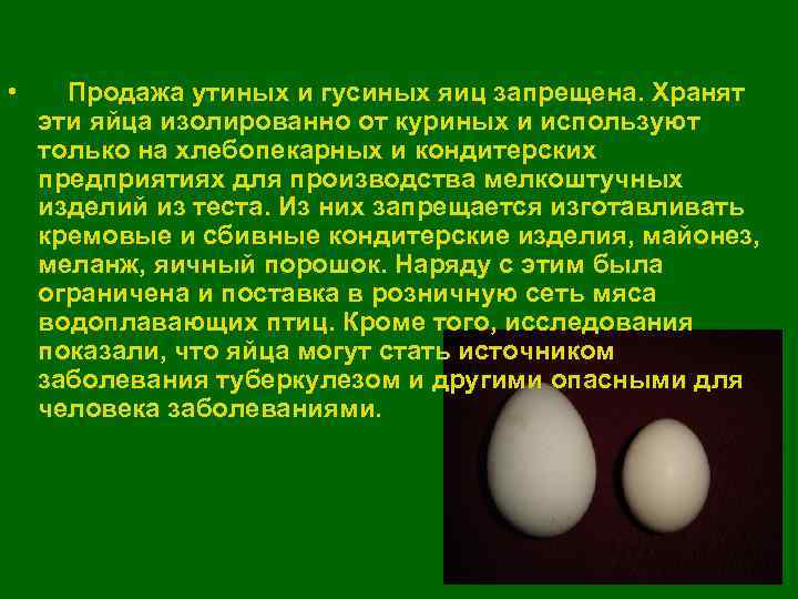 Сколько можно хранить гусиные яйца. Утиные яйца. Гусиные яйца. Утиное и куриное яйцо. Состав гусиного яйца.
