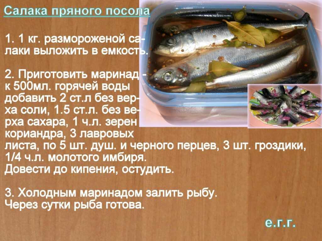 Салака — рыба семейства сельдевых, обитающая в Балтийском море Отличается от сельди пониженным содержанием жира