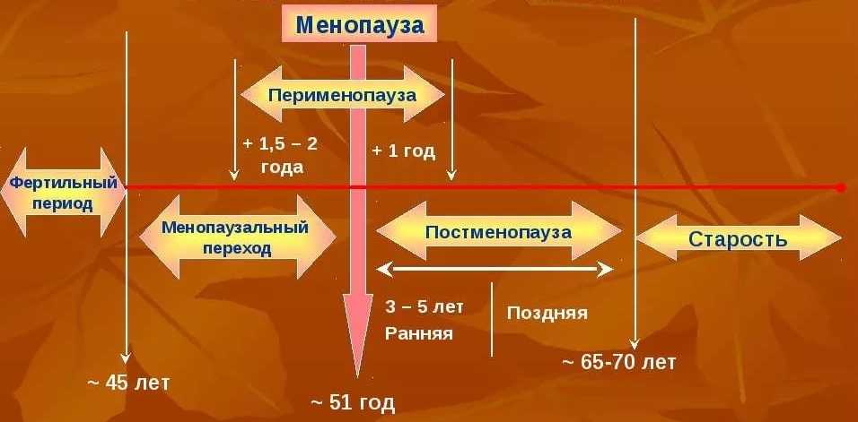 Баланс гормонов в женском организме | статьи медицинского центра «см-клиника»