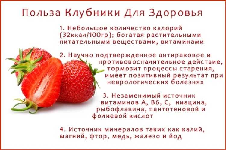 Основное свойство клубники – большое содержание витамина С Калорийность клубники на 100 грамм ягод составляет всего лишь 36,9 ккал, поэтому она является диетическим продуктом Клубника укрепляет кровеносные сосуды и иммунную систему