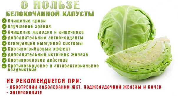 Капустная диета: как похудеть на 24 кг за месяц, меню | medded.ru