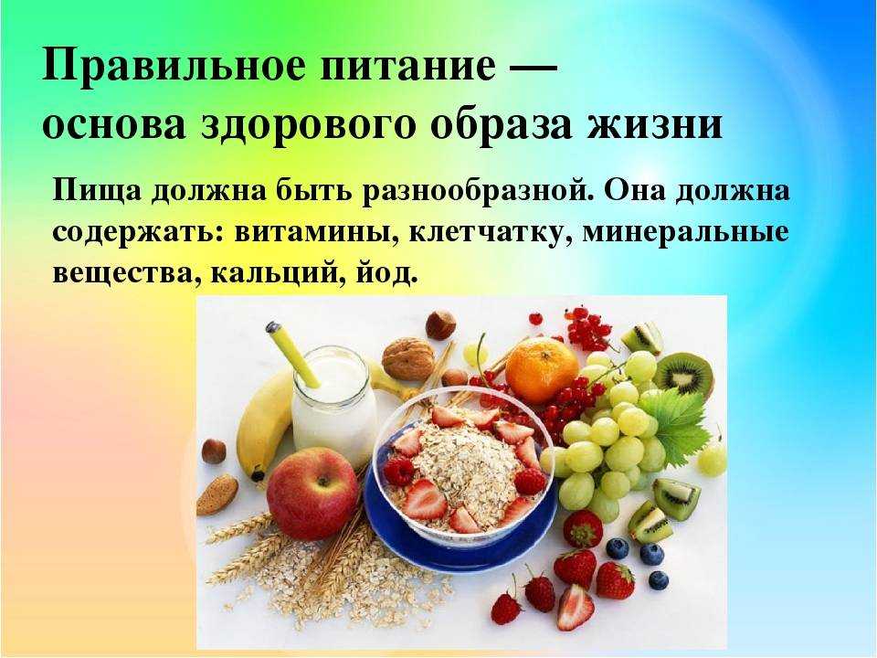 10 правил сбалансированного рациона / блог / клиника эксперт