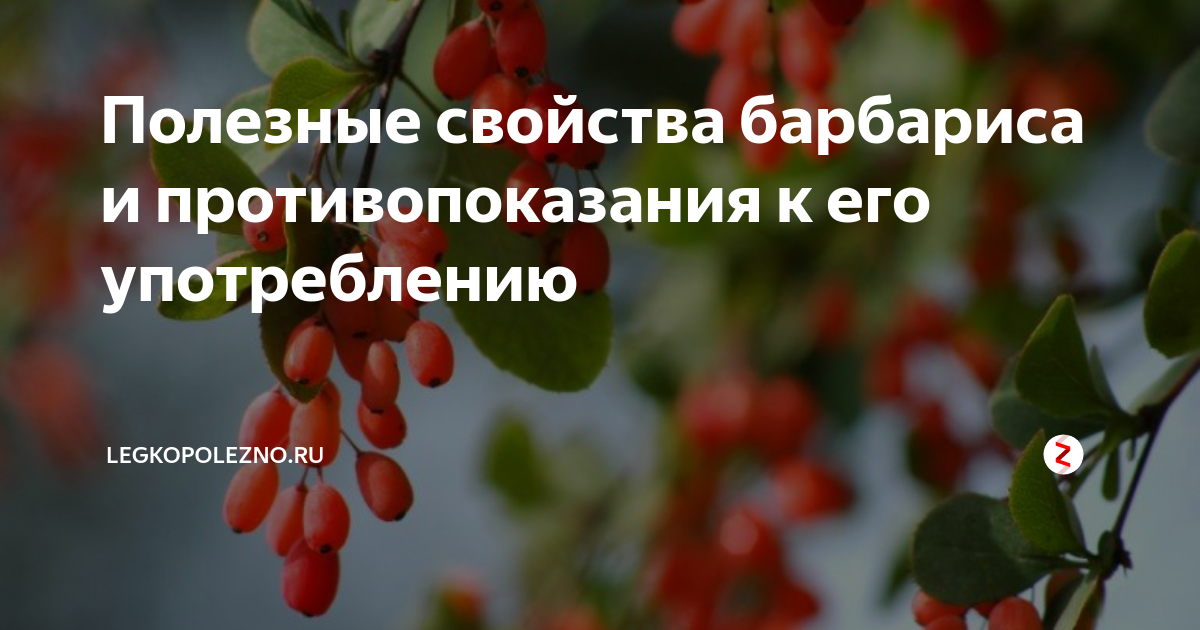 Углеводы в организме: в каких продуктах содержатся (таблица) – эл клиника