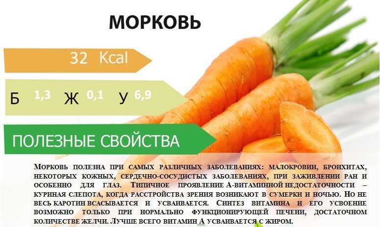 Морковь: состав, полезные свойства и противопоказания