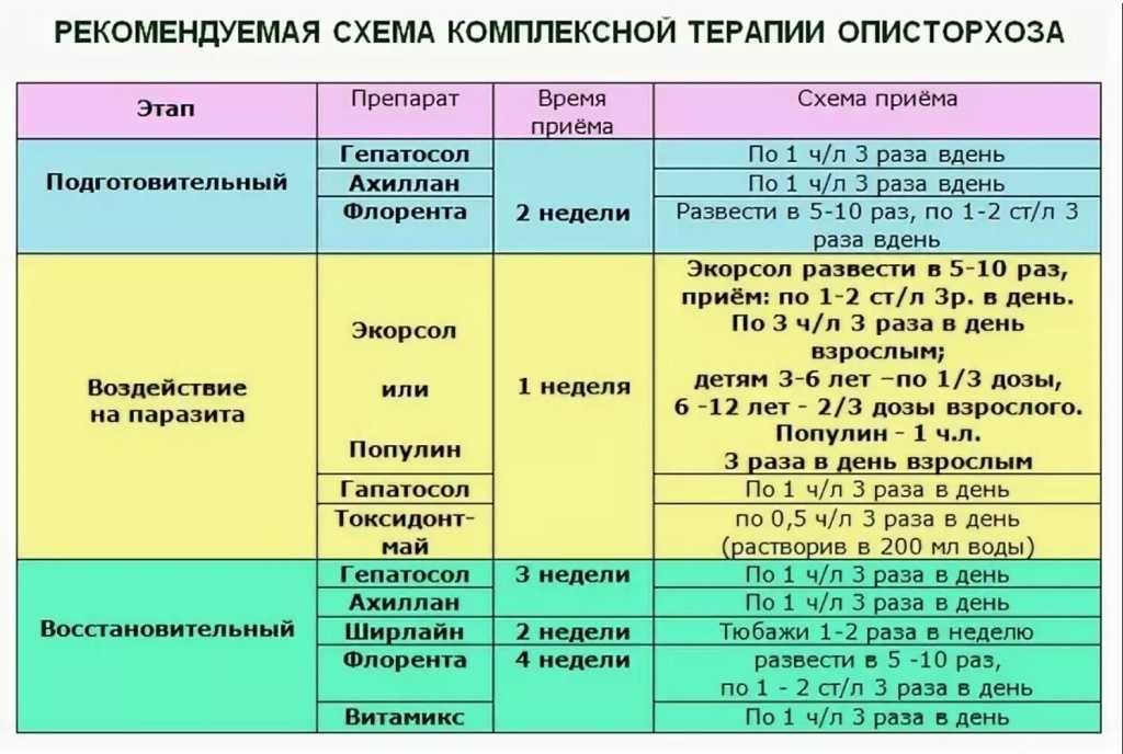 План лечения описторхоза