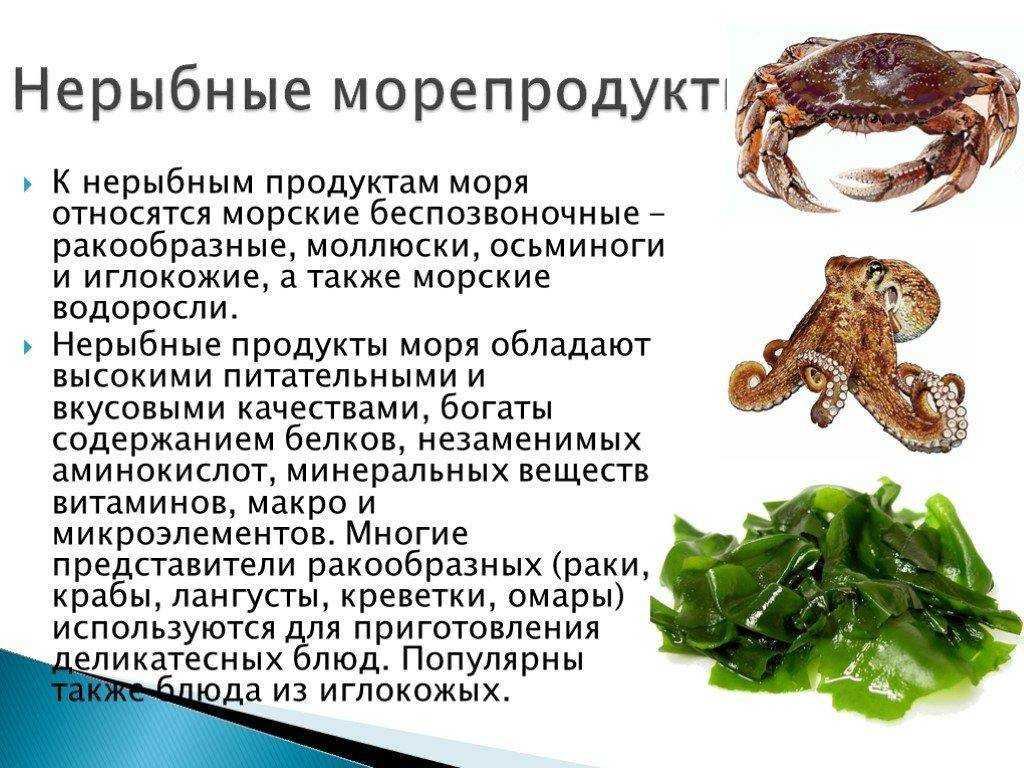 Какие морепродукты и как использует человек. Нерыбные продукты моря. Обработка нерыбных морепродуктов. Классификация нерыбных продуктов. Блюда из нерыбных продуктов моря.