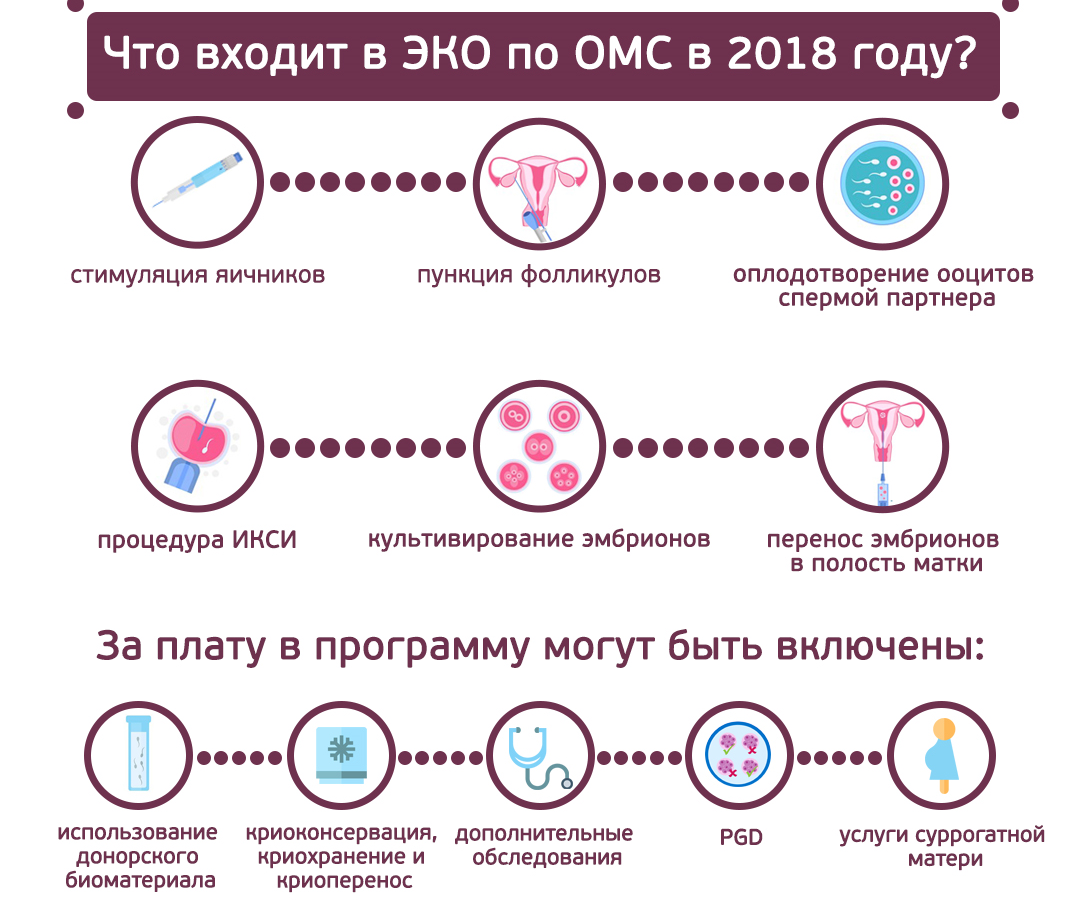 Как проходит процедура эко: перенос эмбиронов, пункция яичников и гиперстимуляция - клиника цкб ран