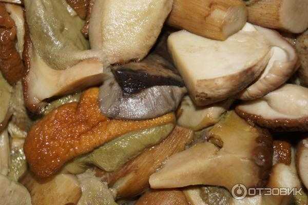 Состав белого древесного гриба, калорийность и основные компоненты