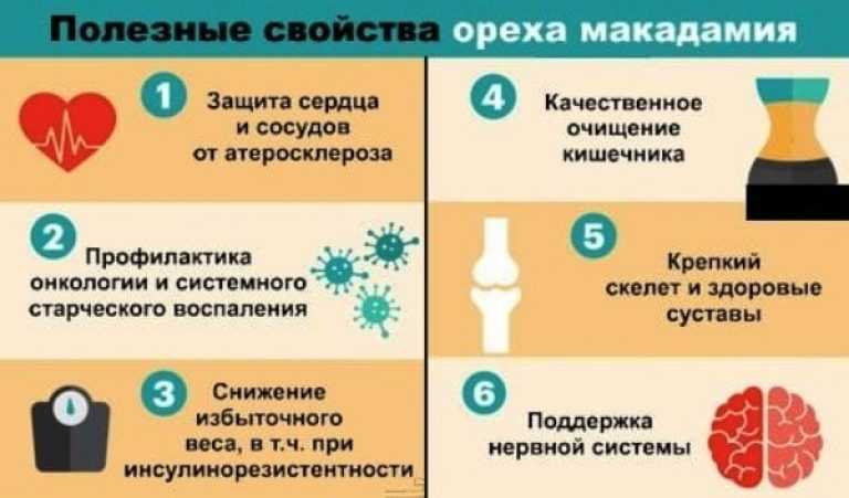 Паприка - это что такое за приправа: как выглядит, из чего делают специю