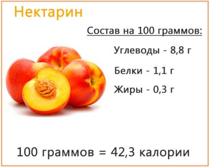 Калорийность нектарина составляет всего лишь 44 ккал на 100 грамм, при этом данный фрукт содержит множество витаминов и других полезных веществ, что делает его идеальным продуктом для диет