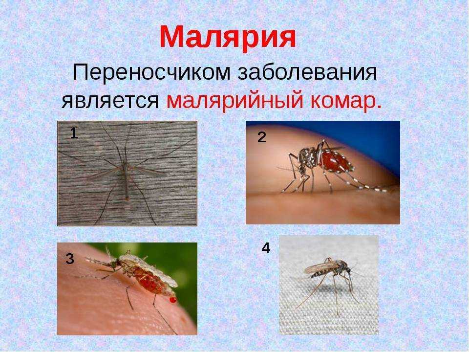 Климат россии - типы, общая характеристика и особенности распределения