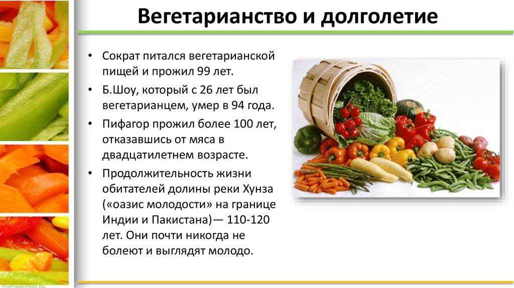 Как начиналось вегетарианство