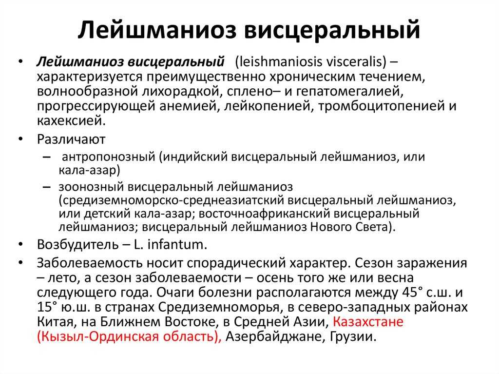 Лейшманиоз природно очаговое. Клинические признаки висцерального лейшманиоза в острый период. Лейшманиоз путь инвазии. Висцеральный лейшманиоз пути заражения. Лейшманиоз пути передачи.