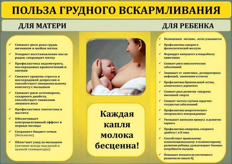 Диета при грудном вскармливании по комаровскому, рацион кормящей мамы - medside.ru