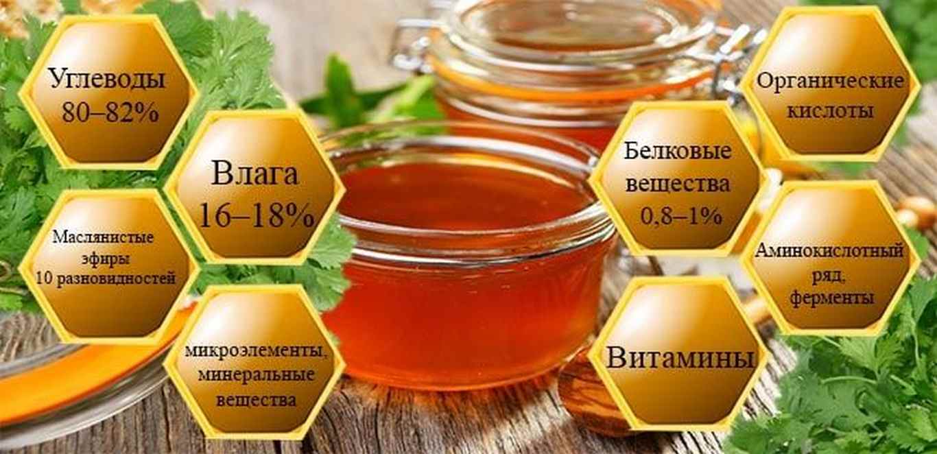 Калорийность мёда на 100 грамм и в чайной ложке