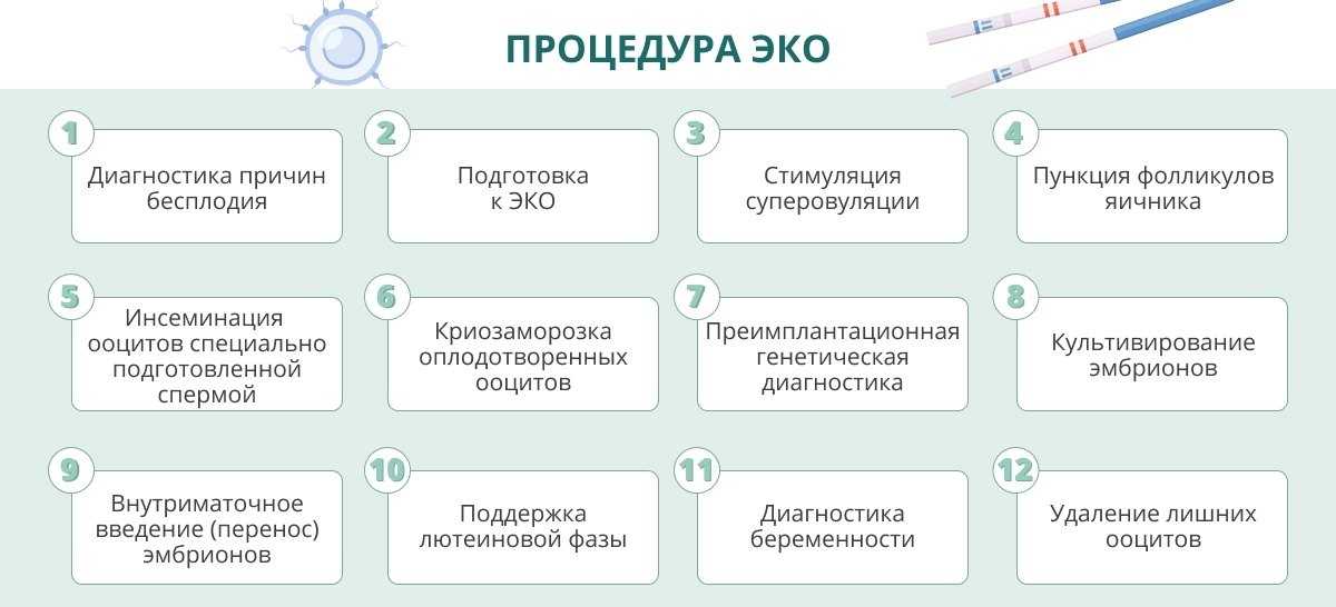 Эко - экстракорпоральное оплодотворение: подготовка, этапы, плюсы и минусы - women first