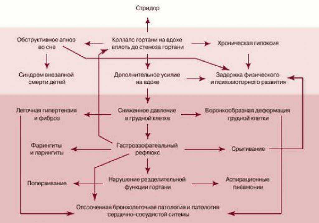 Cтридор врожденный. причины, симптомы и лечение