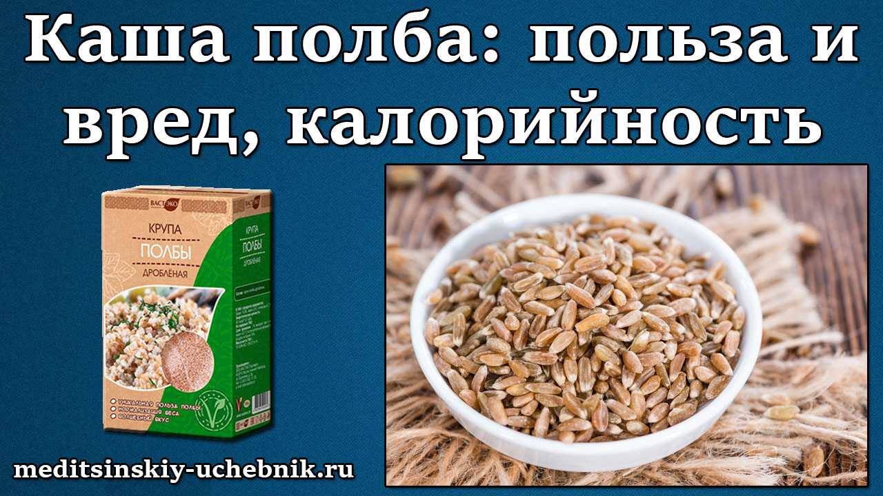 Сколько калорий в 1 грамме белков, жиров, углеводов