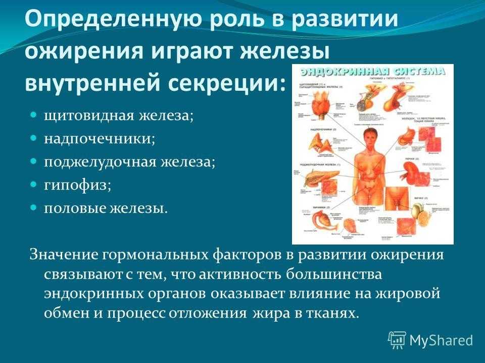 Воспаление жировой ткани. часть 1. морфологические и функциональные проявления